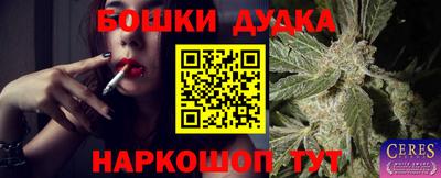 дживик Моздок