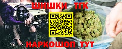 дживик Моздок