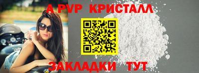 дживик Моздок