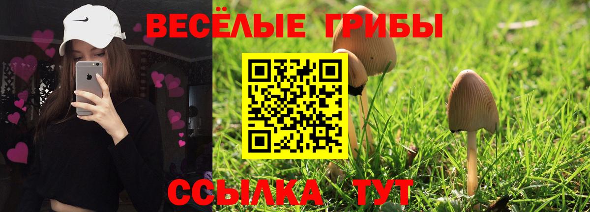 Галлюциногенные грибы Magic Shrooms  Галлюциногенные грибы Cubensis  Вход с VPN  Сибай 